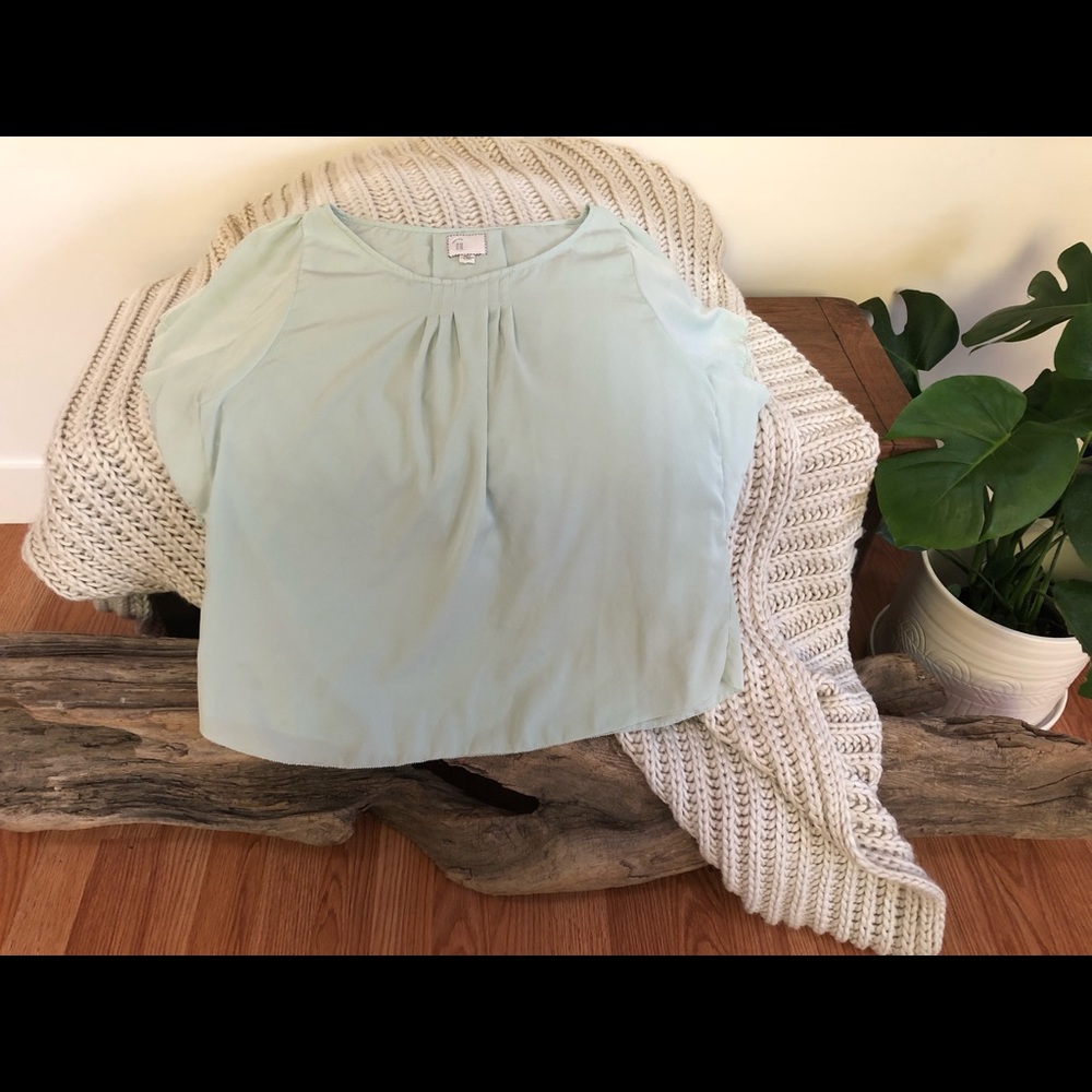 Flutter sleeve Anthro top